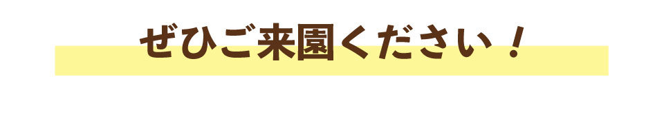 ぜひご来園